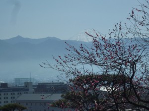 園内からの雪化粧した「富士山」