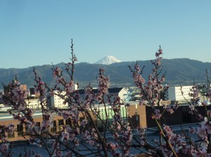 富士山と「扇流し」