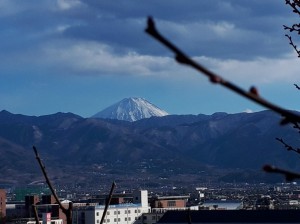 今日も富士山がきれいに眺められます。