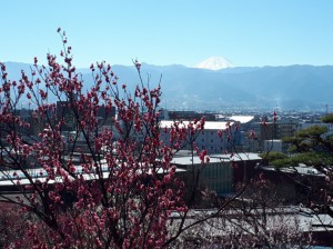 富士山も真っ白に化粧して・・・。