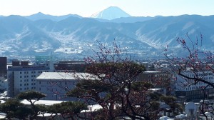 不老園からの雪化粧の「富士山」