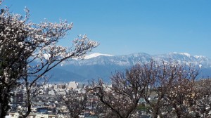 「南アルプス」の展望