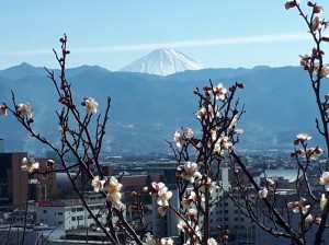 富士山の眺望も見られます。