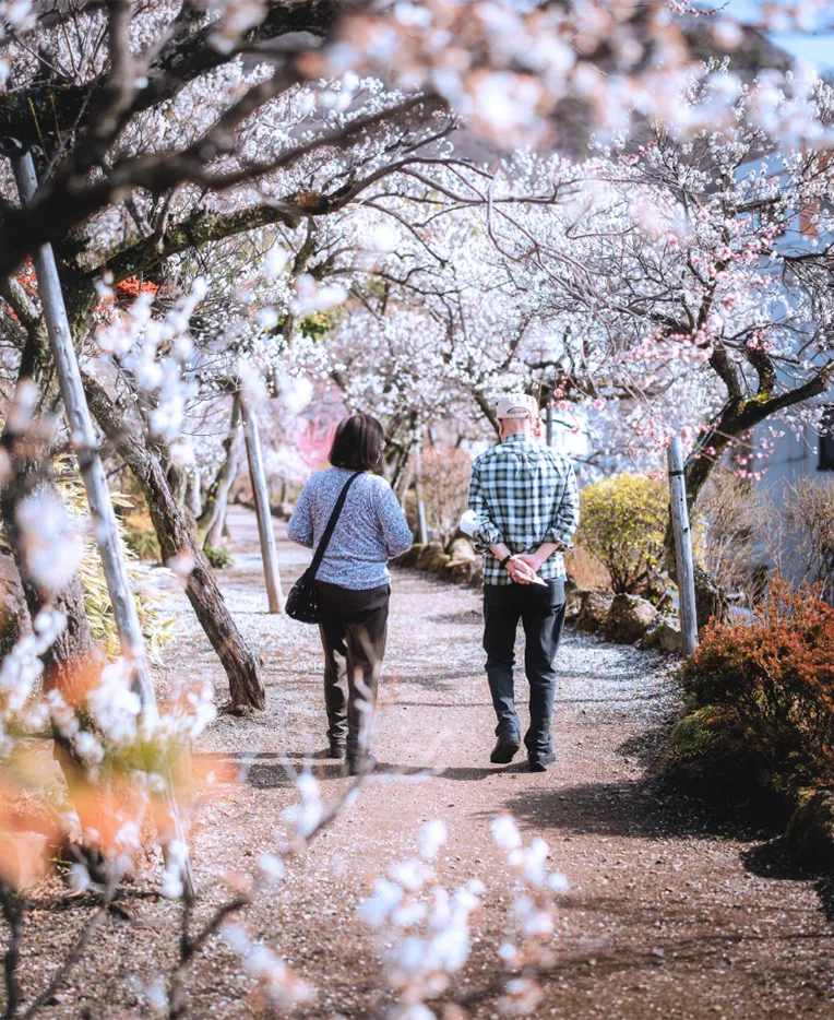 不老園 山梨県甲府市 梅園