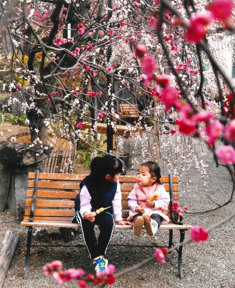 不老園 山梨県甲府市 梅園