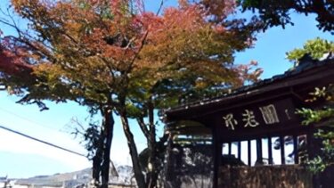 不老園 奥村不老園 開花状況