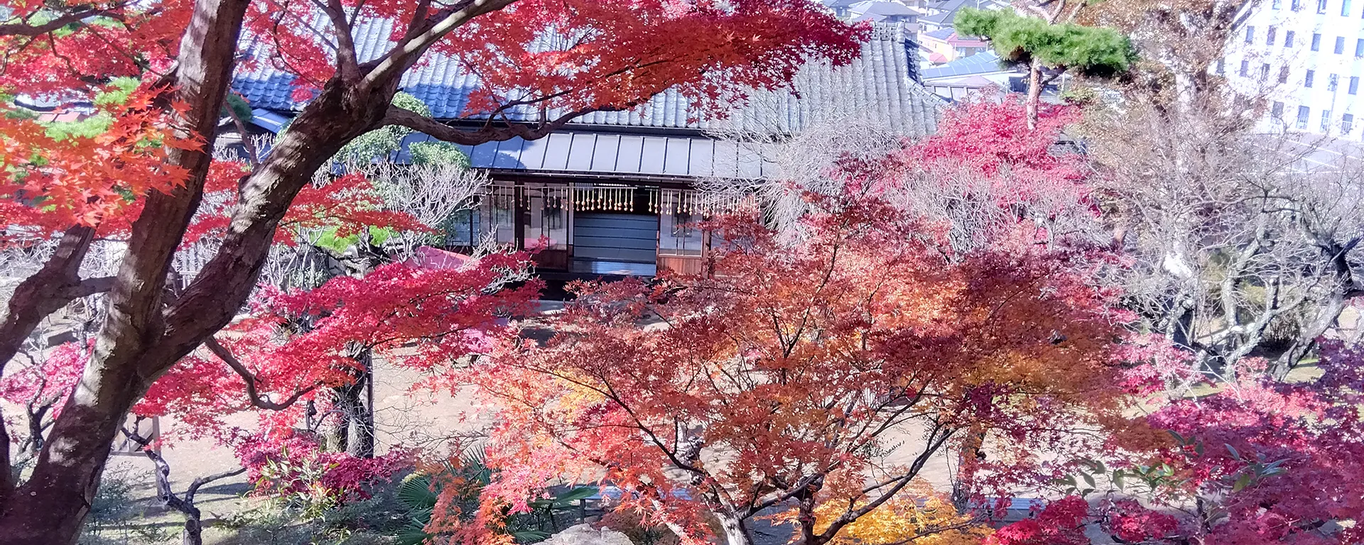 不老園 奥村不老園 アクセス