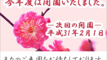 不老園 奥村不老園 開花状況