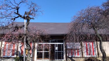 不老園 奥村不老園 開花状況