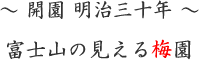 山梨県の梅園・梅の名所・奥村不老園