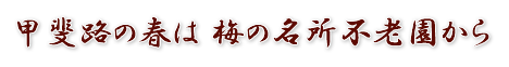 山梨県の梅園・梅の名所・奥村不老園