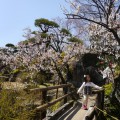 不老園 梅の名所 梅園 山梨県観光 開花情報 おすすめスポット