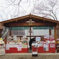 不老園 梅の名所 梅園 山梨県観光 開花情報 おすすめスポット