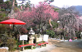 売店前 売店前