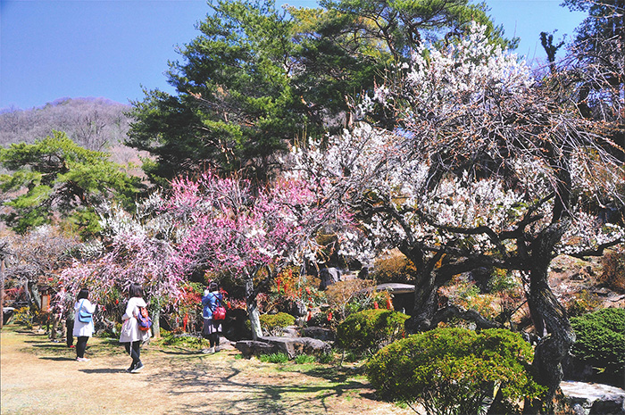 不老園　フォトコンテスト2014