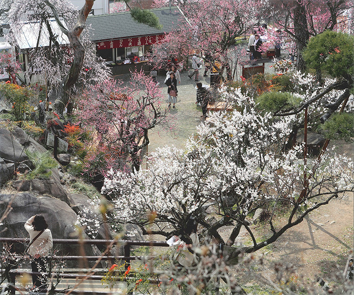 不老園　フォトコンテスト2014