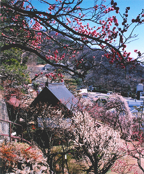 不老園　フォトコンテスト2014