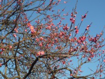 P1050293