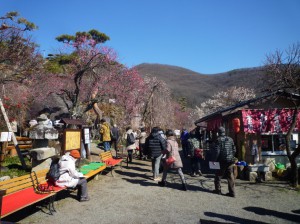 お客様で賑わう売店前