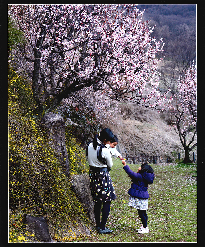 不老園　フォトコンテスト2016