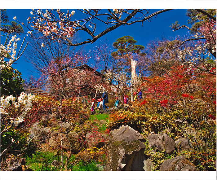 不老園　フォトコンテスト2016