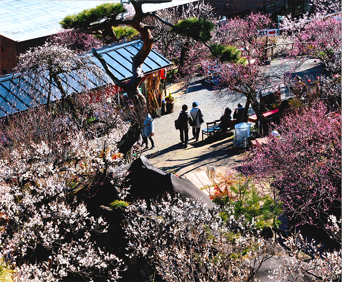 不老園　フォトコンテスト2016