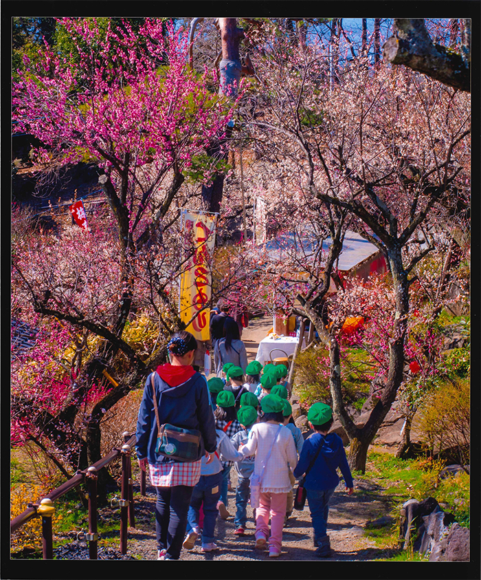 不老園　フォトコンテスト2016