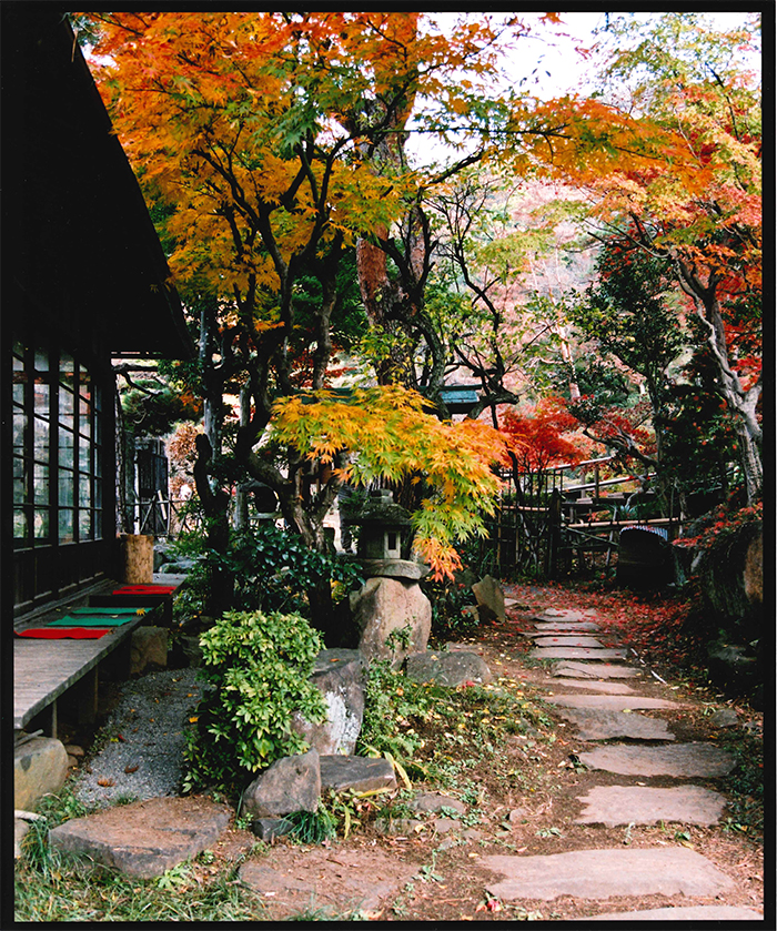 不老園　フォトコンテスト2016