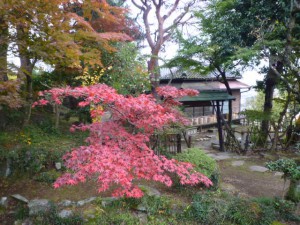 長生閣前庭園より喜楽庵入口付近