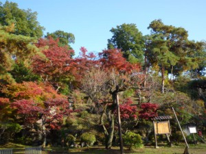 「長生閣」前より庭園を眺めます。