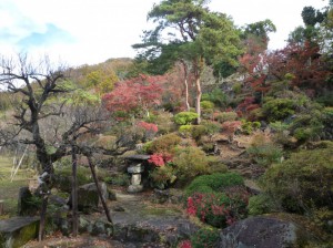 庭園前は大分散り出しました。