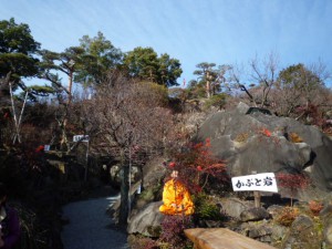 岩の上で瞑想するタイの僧侶