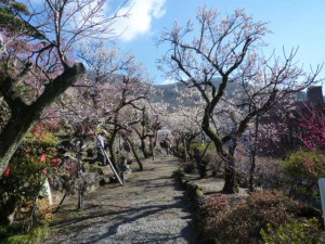 入園口からの風景