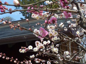 梅天神横の「思いのまま」