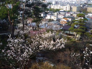 長生閣前の庭園