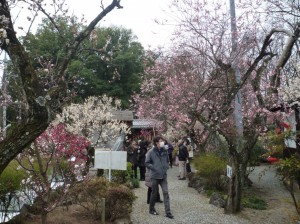 入園口付近の混雑