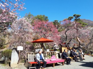 売店前は満開の花