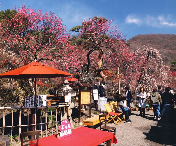 不老園 フォトコンテスト