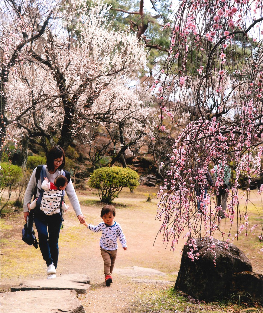 不老園 梅 観光地 山梨 フォトコンテスト 結果