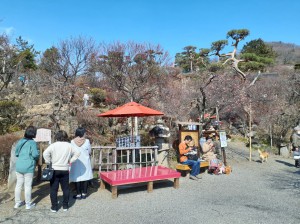 売店前も色づきだしています。