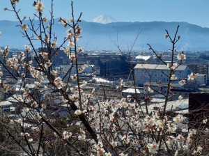 今日も雲一つない晴天です。