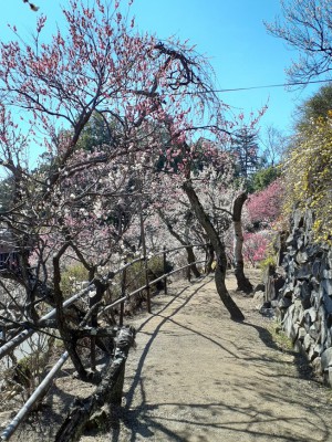 色鮮やかな園内