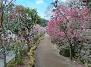 入園口からの景色！