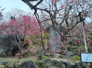 色とりどりの園内！