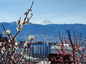 晴天の富士山