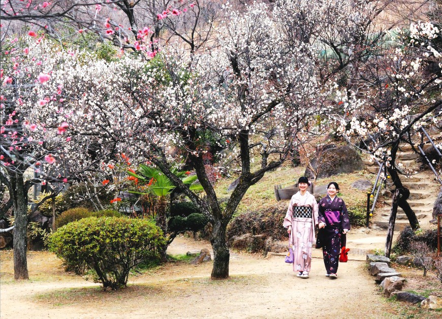 不老園 梅 観光地 山梨 フォトコンテスト 結果