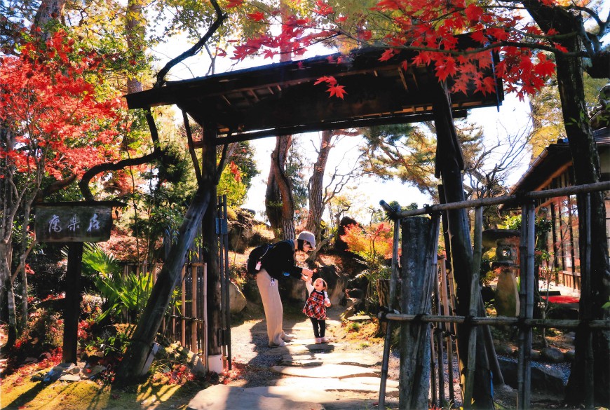 不老園 梅 観光地 山梨 フォトコンテスト 結果