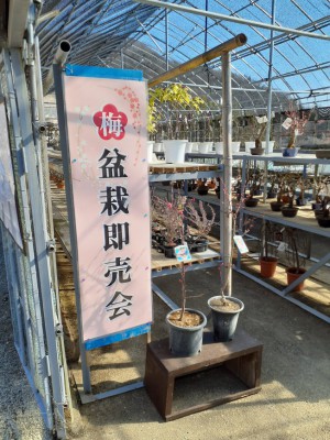 盆栽小屋入り口