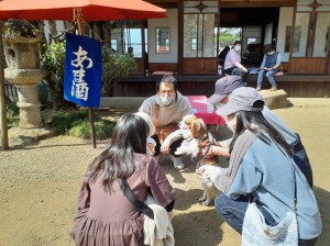 ワンちゃんも家族と散策