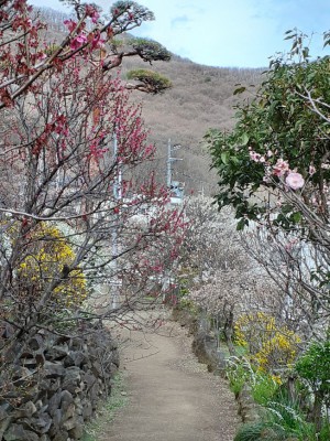 色とりどりの遊歩道沿い